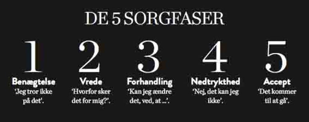 sorgens 5 faser billede 1024x406 1