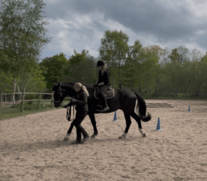 Skab den hest du drømmer om 3 Screenshot 2026 05 11 at 12.54.08