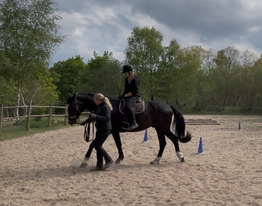 Skab den hest du drømmer om