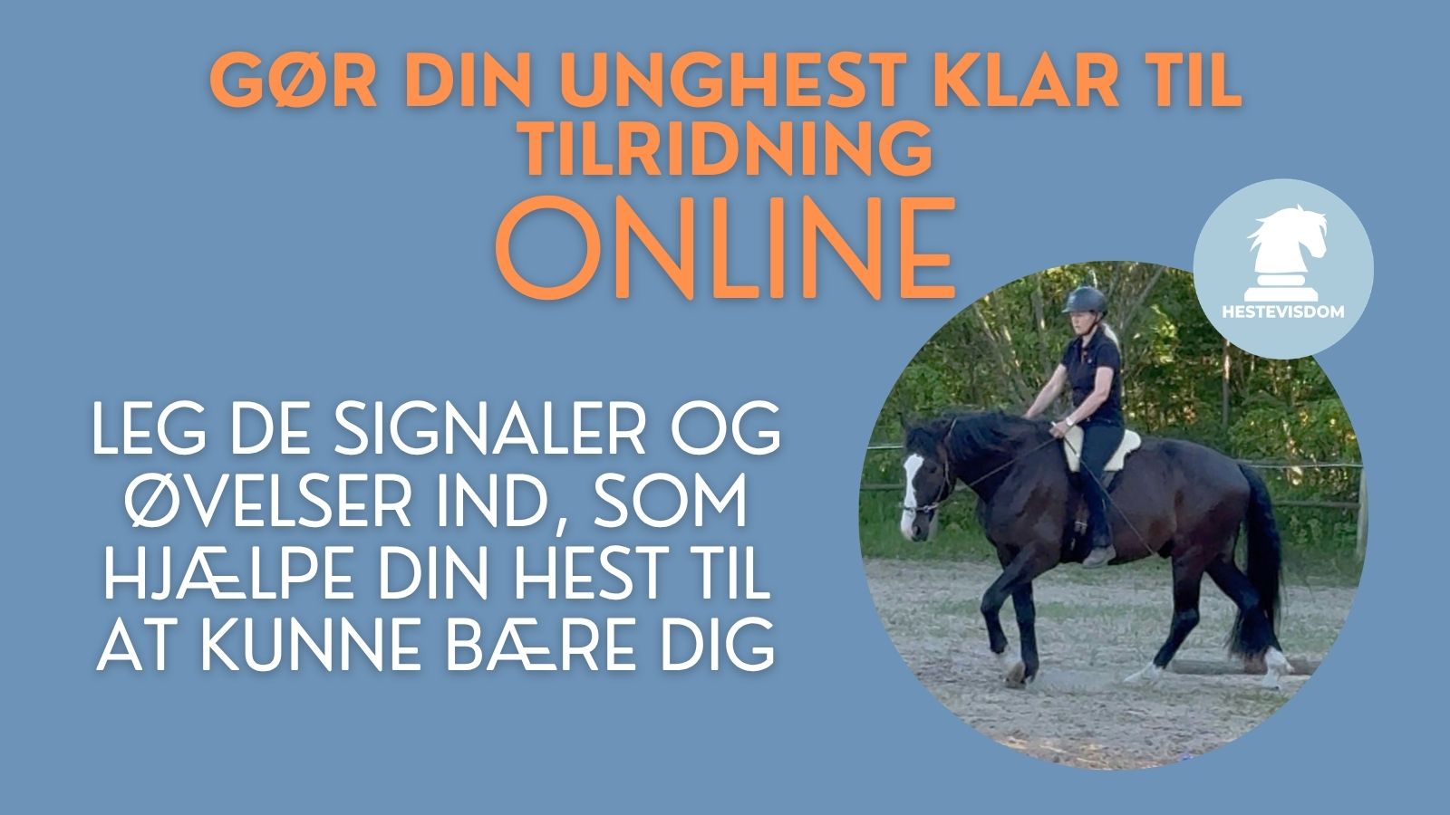 Skab balance og bæring bagfra holdundervisning