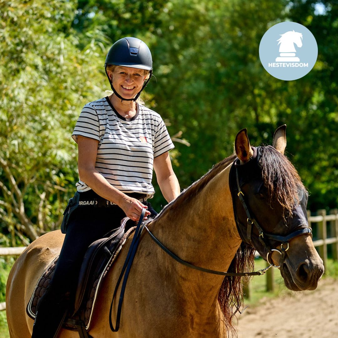 Hanne og Picaso på egen ridebane i Tikøb