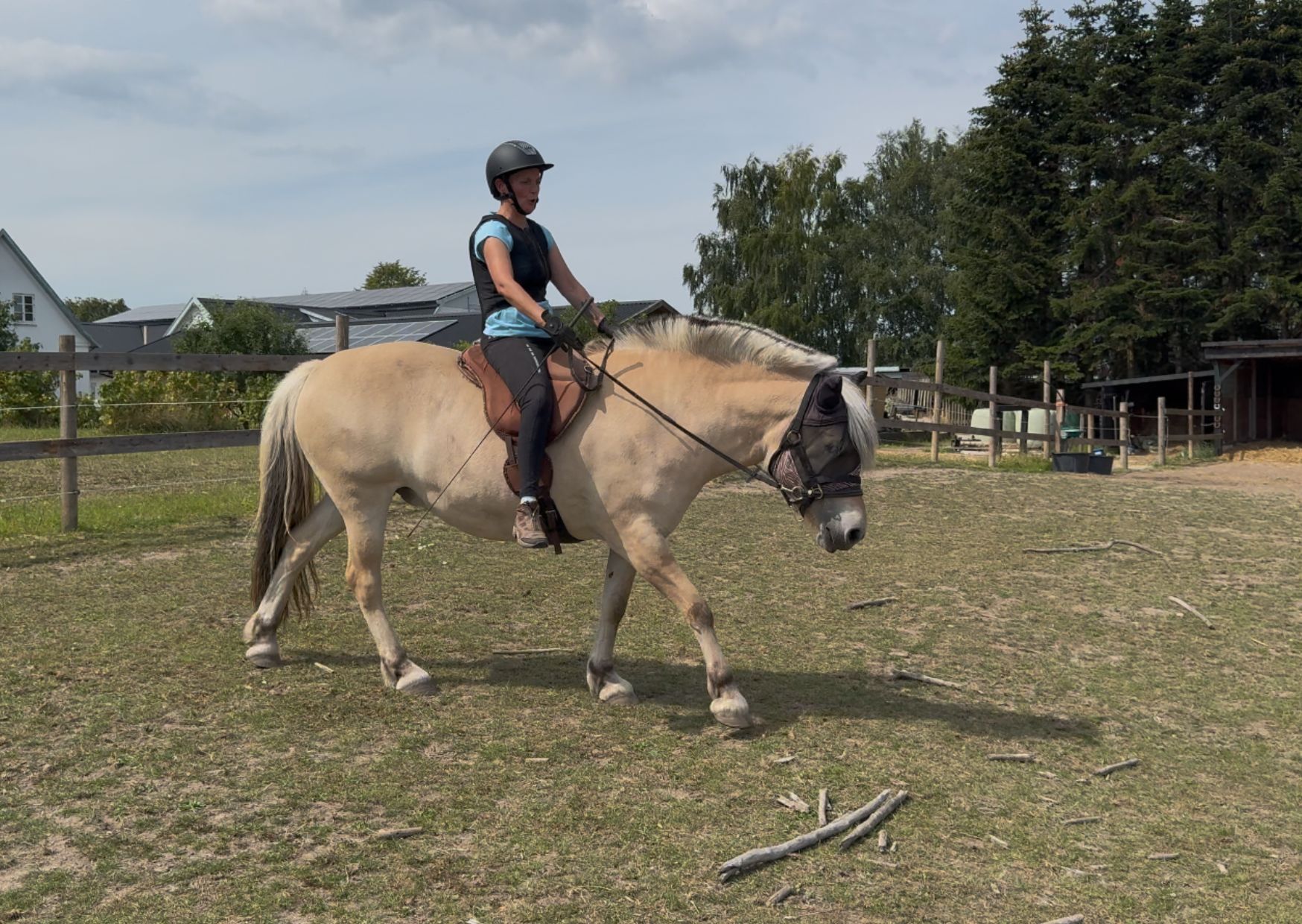 6 Hanne Friberg træner straightness training med Bucefal på ridenbanen