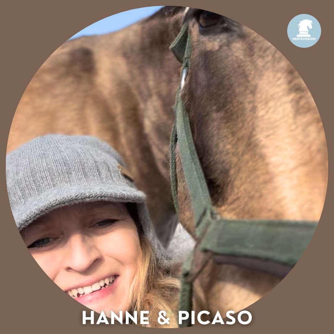 Stort smil, grå hue, gylden hest