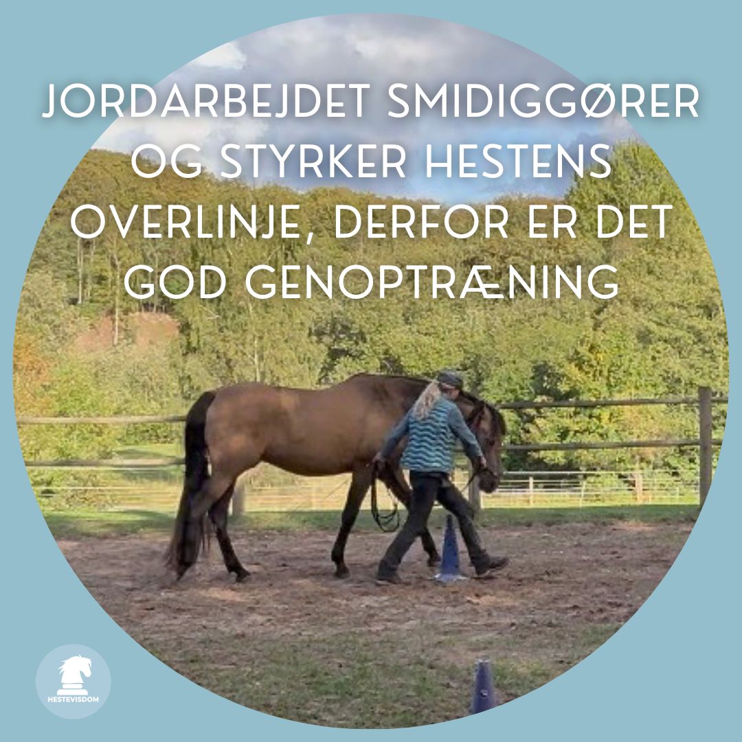 Picaso i groundwork på en cirkelvolte