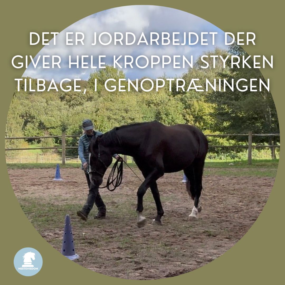 Kingo i groundwork på banen