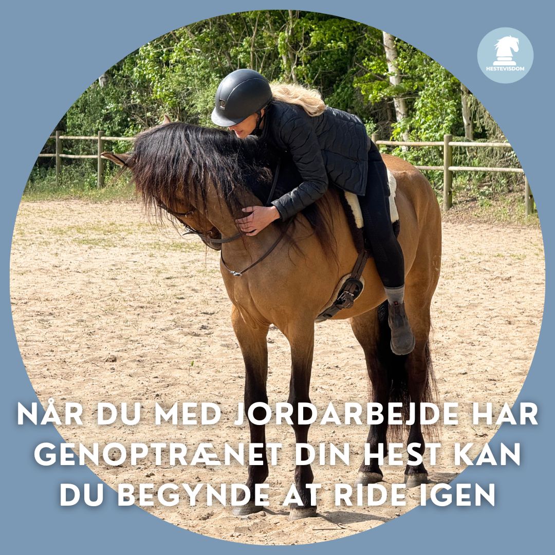 Picaso får et kram på ridebanen