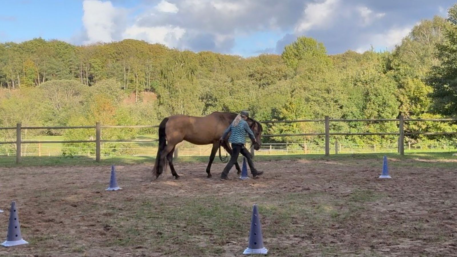 Picaso-jordarbejde-ro og balance Picaso og hanne på ridebanen i groundwork
